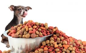 dog food overflowing