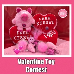 valentine contest 2 2