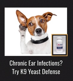 ear infections