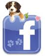 facebook dog