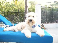 murphy murphy